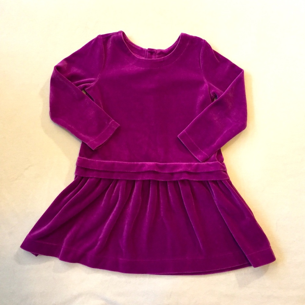 Hanna Andersson Plum Velvet Dress